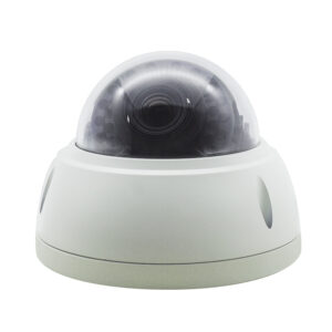 8m Multiple Faces Scan Ip Camera Face Detection Ip66 Recognition Dome Access Control Attendance Control Camera with Sdk